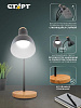 Светильник СТАРТ CT84 черный  E27 купить в СОМ