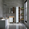 Зеркало-шкаф Viant Бостон 60 купить в СОМ
